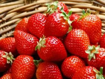 属于你的「春日健康果品」