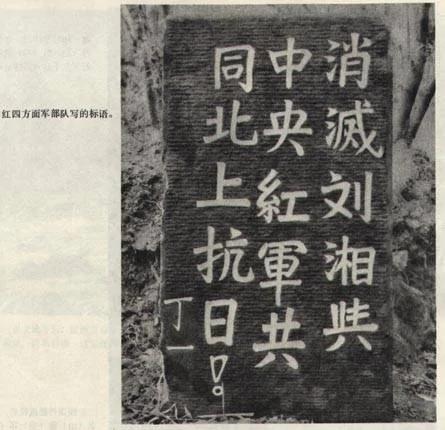 惨绝人寰 红军川北大屠杀! 女尸下体皆被刀伤 女学生不放过 1