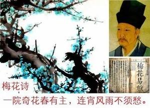 “符命”的潮流 “体制内“的都倒戈 帝王命双胞案