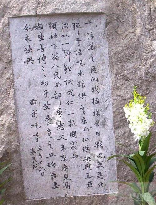 雄姿英发——名将名家张灵甫