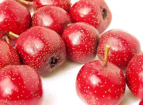 女性养生：六种水果助你吃掉〝乳癌〞