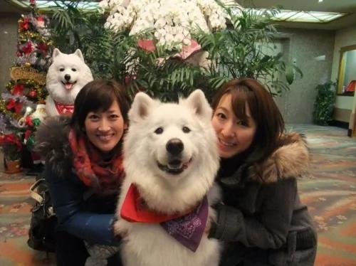 日本人泡温泉到底为了啥?
