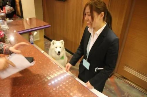 日本人泡温泉到底为了啥?