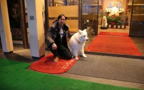 日本人泡温泉到底为了啥?