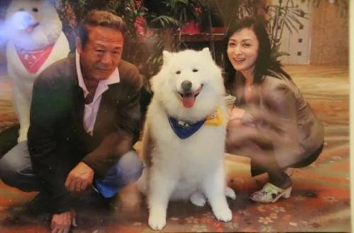 日本人泡温泉到底为了啥?