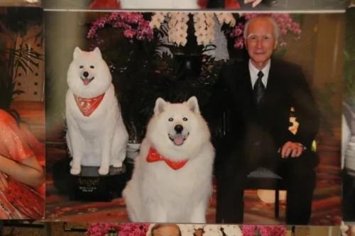 日本人泡温泉到底为了啥?
