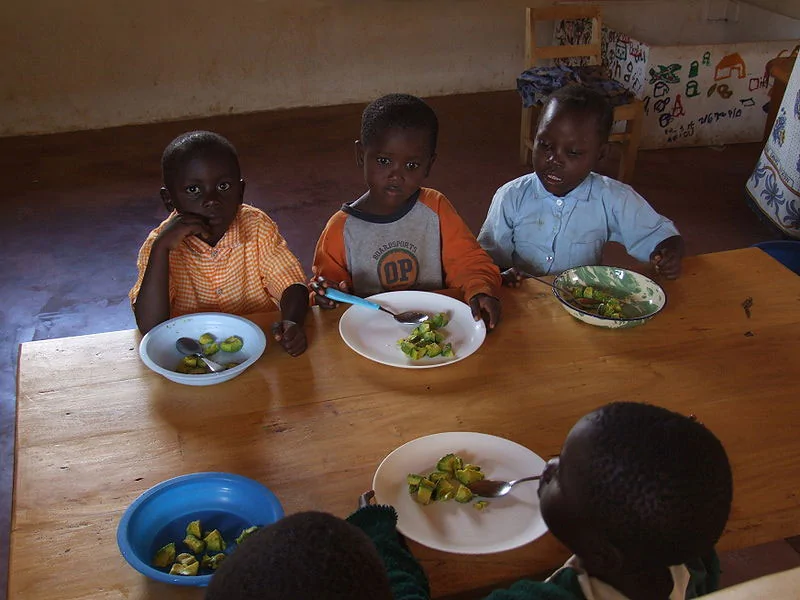 What School Lunches Look Like In20 Countries Around The World19