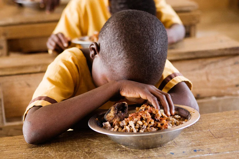 What School Lunches Look Like In20 Countries Around The World28