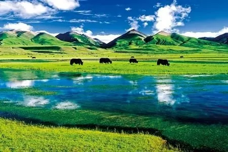 最完整的中國旅行點,山水湖泊都包含了
