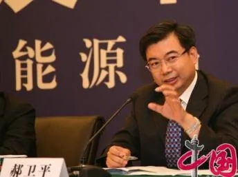 中國國家能源局司長郝衛平。