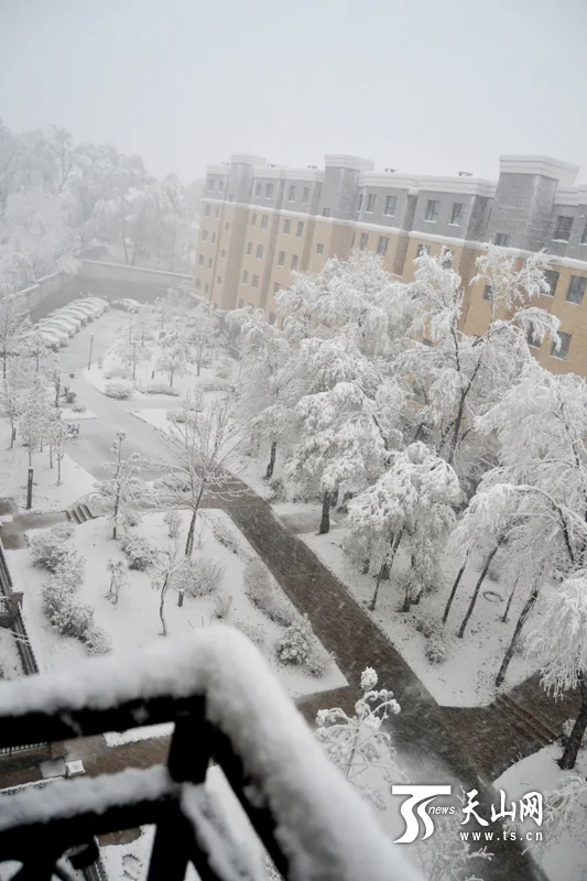 4月23日，受降雪天氣影響，烏魯木齊光明路車輛行駛緩慢。當日，新疆烏魯木齊市迎來大雪天氣，氣象台發佈暴雪黃色預警信號。新華社發（吳壯）