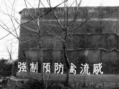 秒杀日月神教——红朝的疯言疯语
