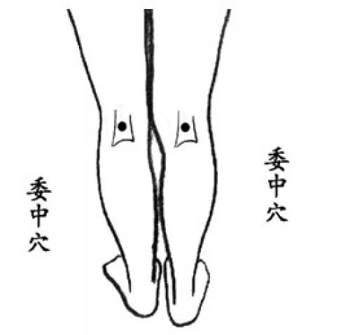 四大按摩养生穴位预防职业病