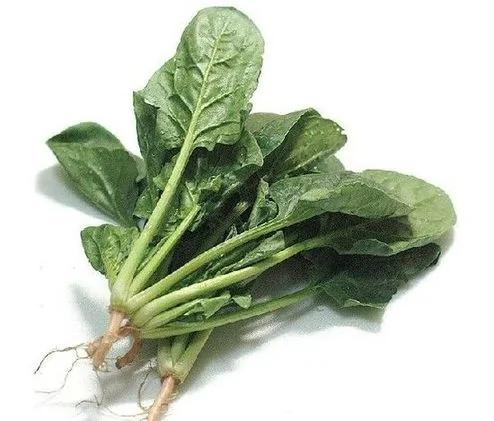 全身食物地图 让你吃出美丽健康