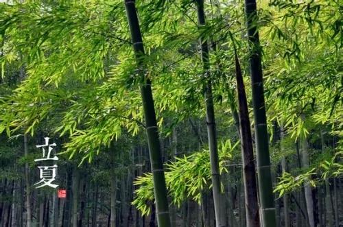 立夏的由来和习俗