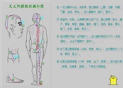经络养生排毒法 敲打胃经让脸色白里透红