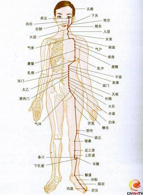 经络养生排毒法 敲打胃经让脸色白里透红