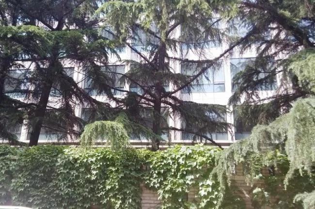 实拍神秘的301医院4