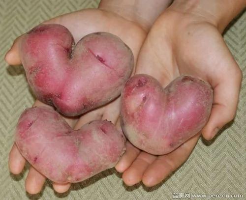 22个上辈子投错胎的蔬菜? 太不可思议了!