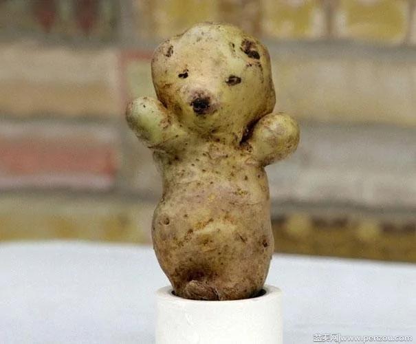 22个上辈子投错胎的蔬菜? 太不可思议了!