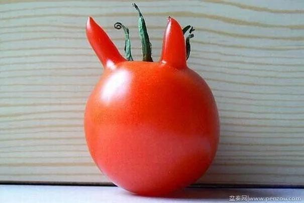 22个上辈子投错胎的蔬菜? 太不可思议了!