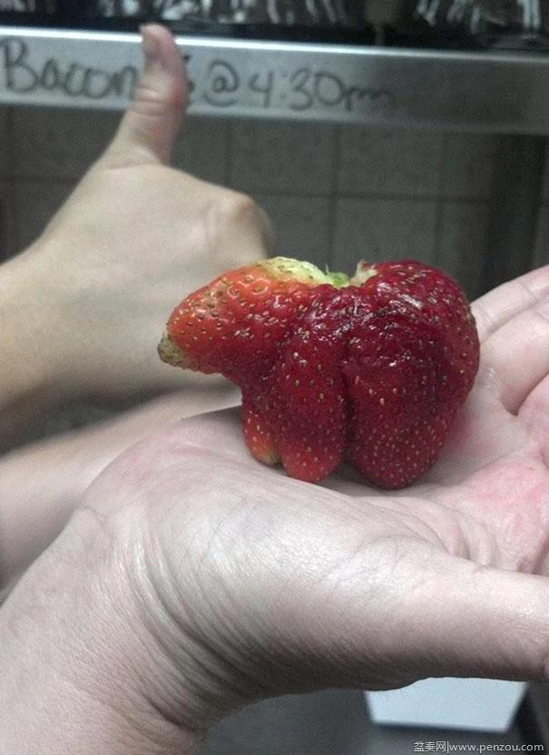 22个上辈子投错胎的蔬菜? 太不可思议了!