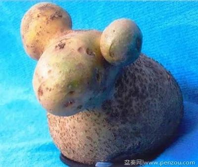 22个上辈子投错胎的蔬菜? 太不可思议了!