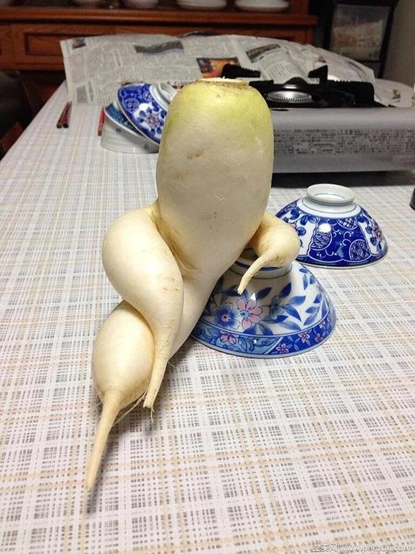 22个上辈子投错胎的蔬菜? 太不可思议了!