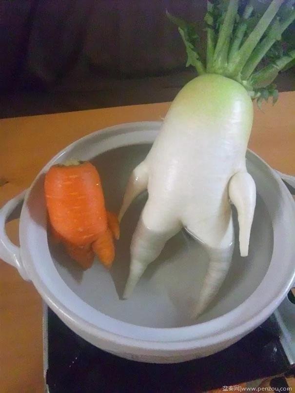22个上辈子投错胎的蔬菜? 太不可思议了!