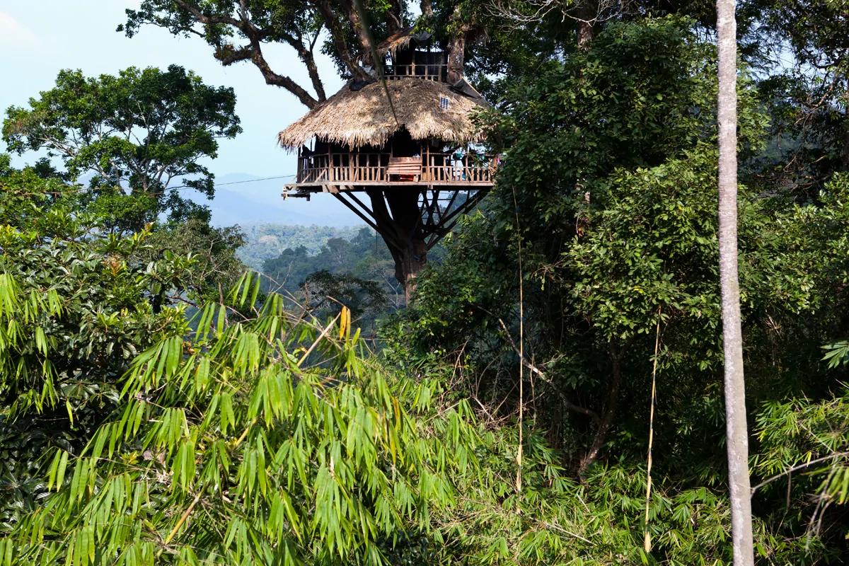 十大最具特色的树屋旅店