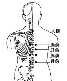 养肝补肝 常按几大穴位