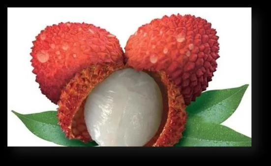 20个非常全面的生活小点子