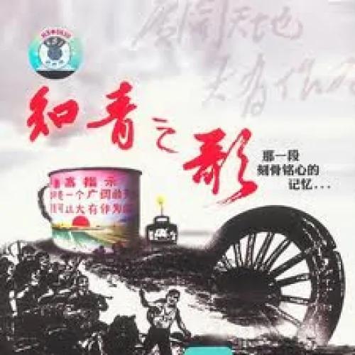 知青 死刑枪口下的生命悲歌