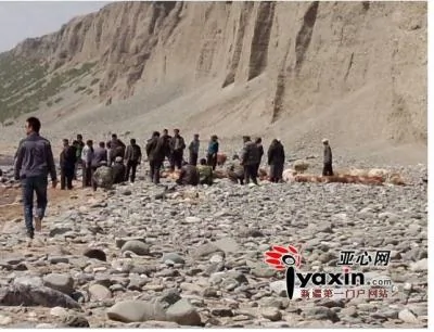 据新疆媒体《亚心网》报导，于13日当地牧民放牧时，有只领头羊意外掉落了山谷，导致一部分羊群跟着跳下去，此举使得共有59只羊伤亡。（图撷取自亚心网网站）