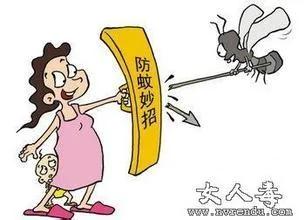 夏天驱赶蚊子的秘诀!