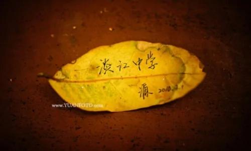 我眼中真实的台湾