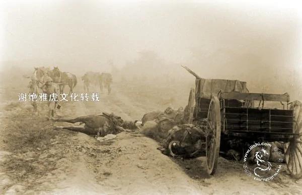 二战中的中国远征军
