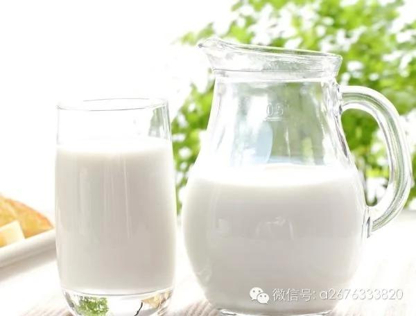 七种食物补钙防发胖