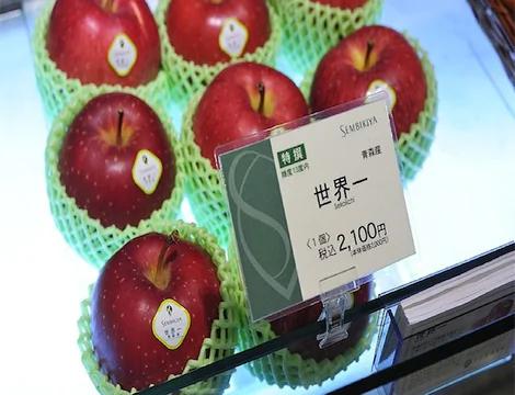 买不起的8种天价水果:黑皮西瓜年产仅100个(组图)