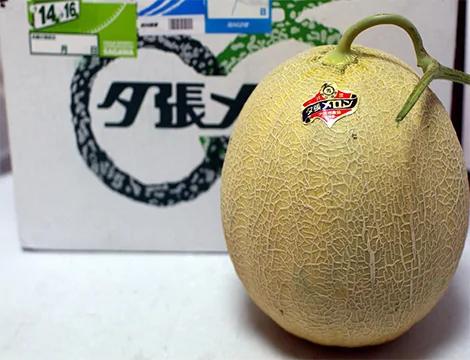 买不起的8种天价水果:黑皮西瓜年产仅100个(组图)