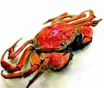世界十三种最毒美食排行榜