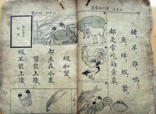 80年前中华民国好课本大家看
