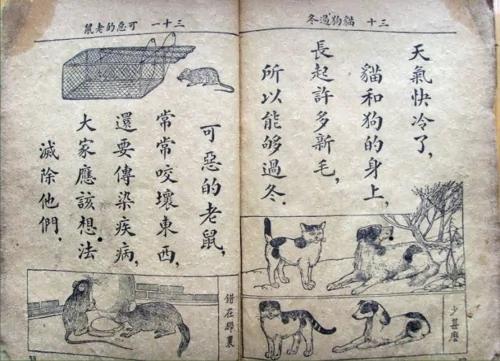 80年前中华民国好课本大家看