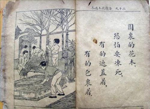 80年前中华民国好课本大家看