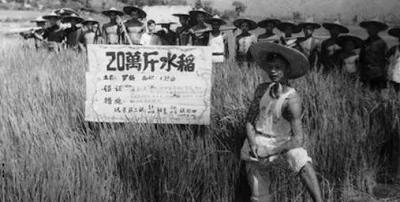 什么是“愤青”