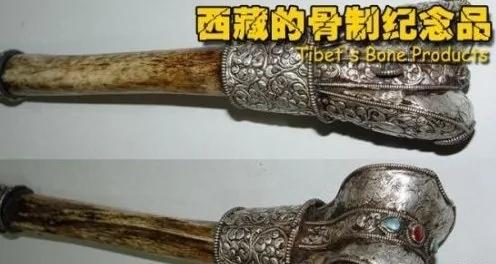 旅游禁忌!8个不能带回家的纪念品