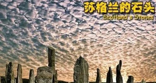 旅游禁忌!8个不能带回家的纪念品