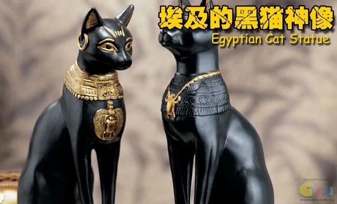 旅游禁忌!8个不能带回家的纪念品