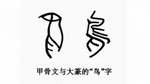 盤點漢字里的「鳥」