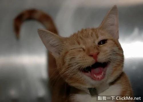 眼睛疲劳吗?教你缓解“电脑眼”的小妙招!